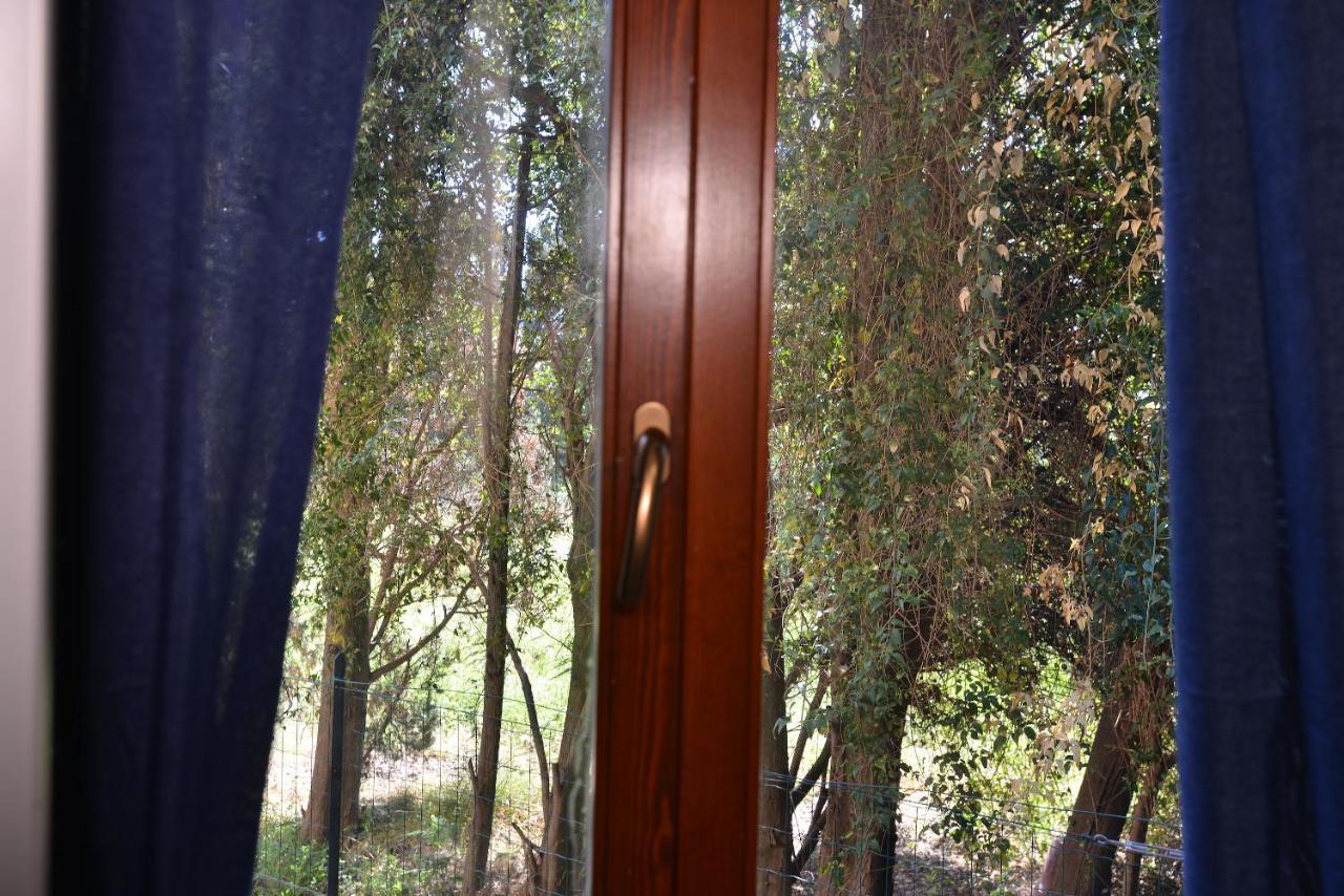 פולה Izzhome Blue Sea מראה חיצוני תמונה
